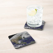 ハリケーン「サンディ」の衛星画像 コースター (右側)