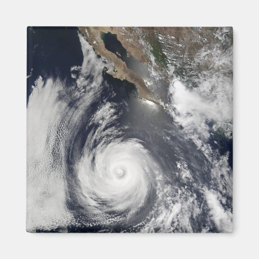 ハリケーン・ダグラス マグネット (正面)