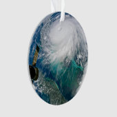 ハリケーン・ドリアンの見解。 オーナメント (正面)