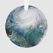 ハリケーン・ドリアンの見解。 オーナメント (正面)