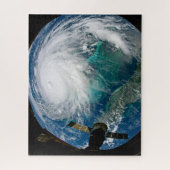 ハリケーン・ドリアンの見解。 ジグソーパズル (縦)