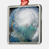 ハリケーン・ドリアンの見解。 メタルオーナメント (左)