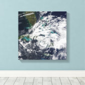 ハリケーン・パロマ2 キャンバスプリント (インサイチュ (ウッドフロア))