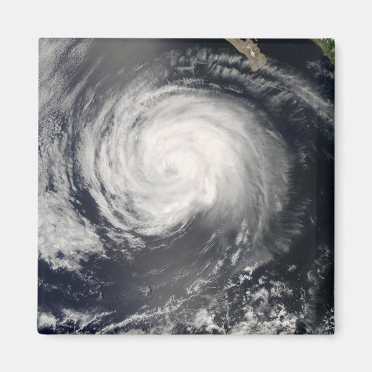 ハリケーン・ファウスト マグネット (正面)