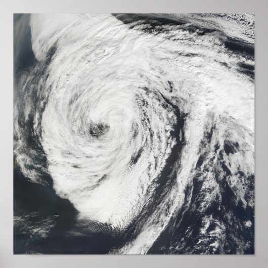 ハリケーン・フィレンツェ ポスター (正面)