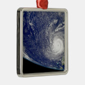 ハリケーン・フランシス2 メタルオーナメント (右)