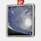 ハリケーン・フランシス2 メタルオーナメント (左)