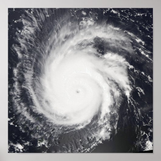 ハリケーン・フランシス ポスター (正面)