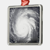ハリケーン・フランシス メタルオーナメント (左)