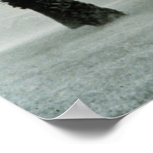 ハリケーン ポスター (角)