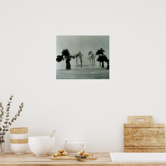 ハリケーン ポスター (キッチン)