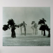 ハリケーン ポスター (正面)