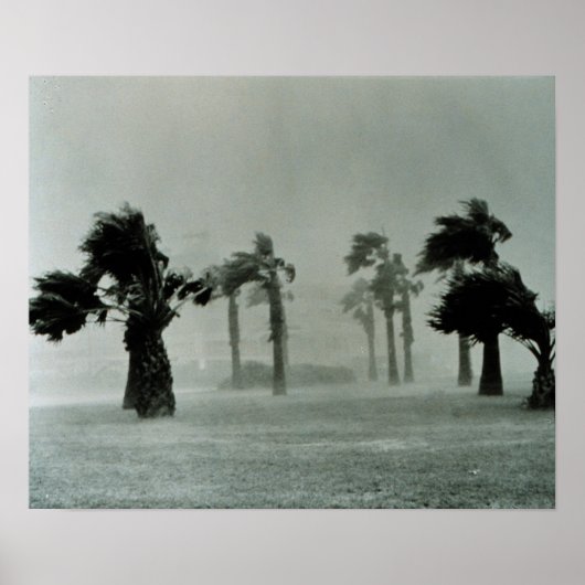 ハリケーン ポスター (正面)