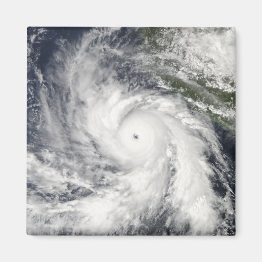 ハリケーン・リック マグネット (正面)