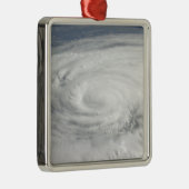 ハリケーンIke 10 メタルオーナメント (右)