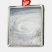 ハリケーンIke 10 メタルオーナメント (左)