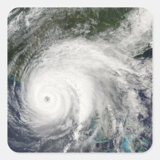 ハリケーンIvan 2 スクエアシール (正面)