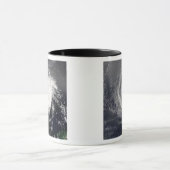 ハリケーンIvan 3 マグカップ (中央)