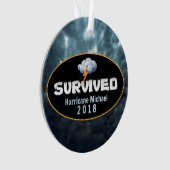 ハリケ生き延びン・マイケル オーナメント (正面)