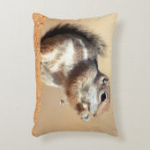 ハリスのアンテロープリス(Ammospermophilus) アクセントクッション (正面(垂直))