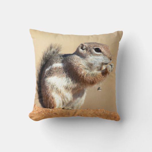 ハリスのアンテロープリス (Ammospermophilus) クッション (正面)