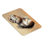 ハリスのオグロプレーリードッグ (Ammospermophilus) マグネット (右側)