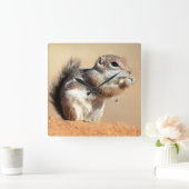 ハリスのカモシカリス(Ammospermophilus) スクエア壁時計 (ホーム)