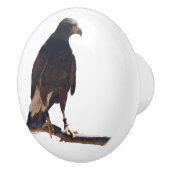 ハリスのタカのノブ セラミックノブ (右)