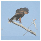 ハリスのタカ ファブリック (クローズアップ)