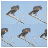 ハリスのタカ ファブリック (見本)