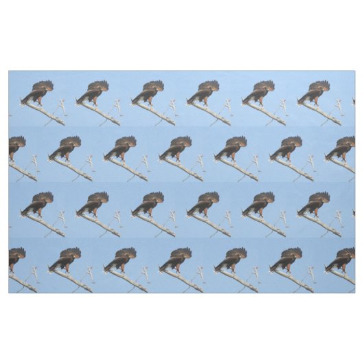 ハリスのタカ ファブリック (ファットクウォーター)