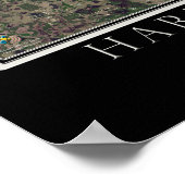 ハリスチェーンの湖フロリダから宇宙衛星 ポスター (角)