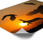 ハリスホークス ポスター (角)