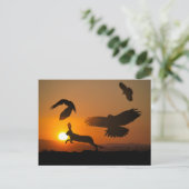 ハリスホークス ポストカード (スタンド正面)