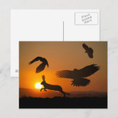 ハリスホークス ポストカード (正面/裏面)