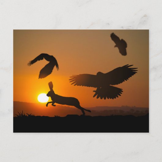 ハリスホークス ポストカード (正面)