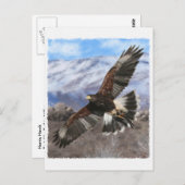 ハリスホークパステル ポストカード (正面/裏面)