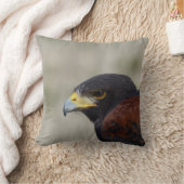 ハリスホークポートレート装飾用クッション クッション (ブランケット)
