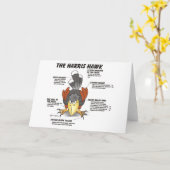 ハリスホーク漫画カード カード (黄色い花)