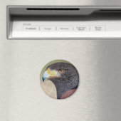 ハリスホーク – cp マグネット (インサイチュ (食洗機))