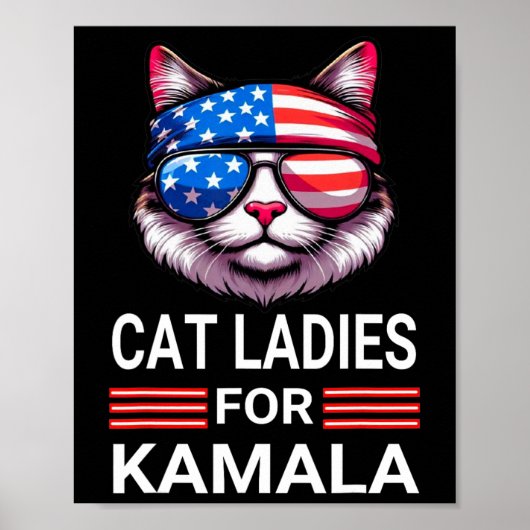 ハリス・ホイマーおもしろい2024ネコ選挙Kamala Harr ポスター (正面)