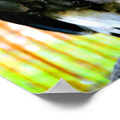 ハリス・ホーク・バード・オブ・プレイ ポスター (角)