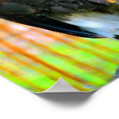 ハリス・ホーク・バード・オブ・プレイ ポスター (角)