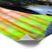 ハリス・ホーク・バード・オブ・プレイ ポスター (角)