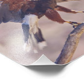 ハリス・ホーク フォトプリント            (角)