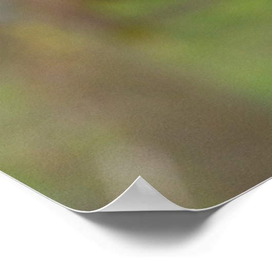 ハリス ポスター (角)