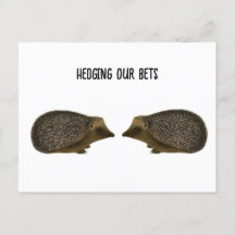 ハリネズミが結婚おもしろいす結婚る – Hedgehog