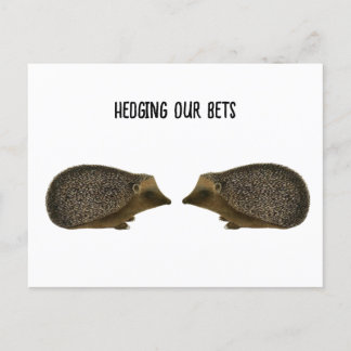 ハリネズミが結婚おもしろいす結婚る – Hedgehog ポストカード