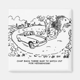ハリネズミで田舎のスポーツカーを運転 マグネット