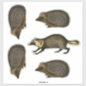ハリネズミとマーテンリアリスティックヴィンテージイラストレーション シール (シート)